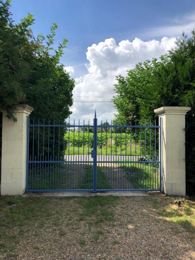 Chambres D Hotes Avec Piscine Et Spa La Foliere Saumur Villebernier Exterior foto