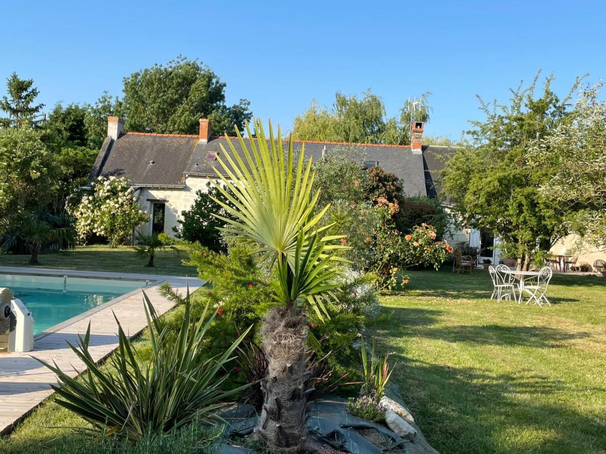 Chambres D Hotes Avec Piscine Et Spa La Foliere Saumur Villebernier Exterior foto